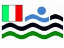iob flag IT